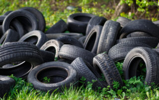 Image of tires in the lawn area
